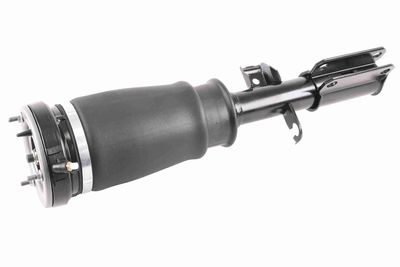 Air Suspension Strut VEMO V20-50-0024