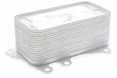 Oil Cooler, engine oil VEMO V20-60-0044