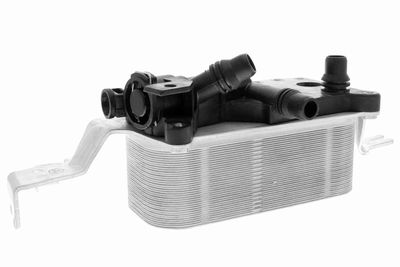 Oil Cooler, engine oil VEMO V20-60-0058