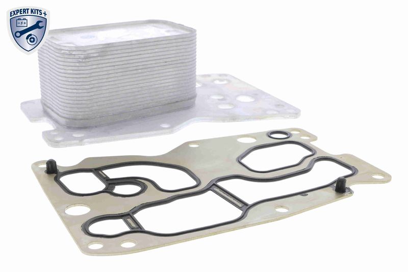 VEMO V20-60-0076 Oil Cooler, engine oil