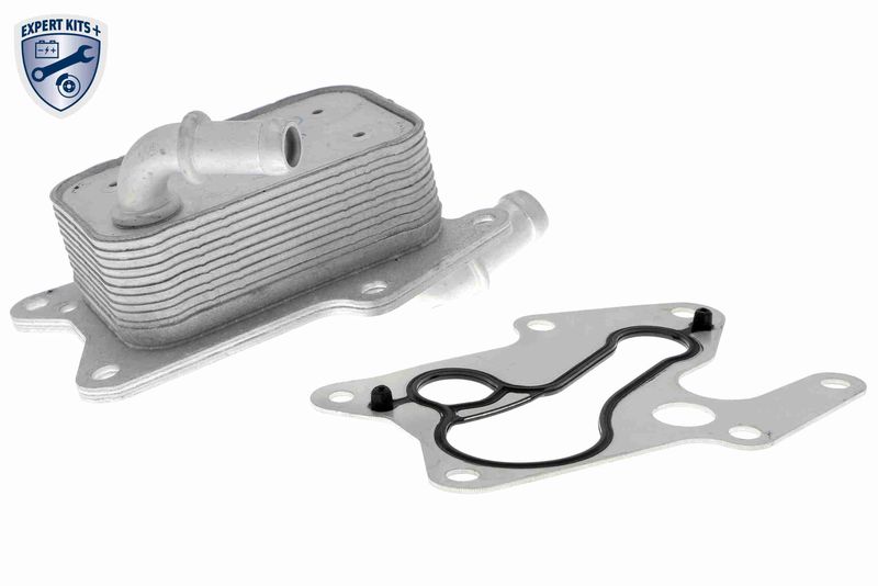 VEMO V30-60-1341 Oil Cooler, engine oil