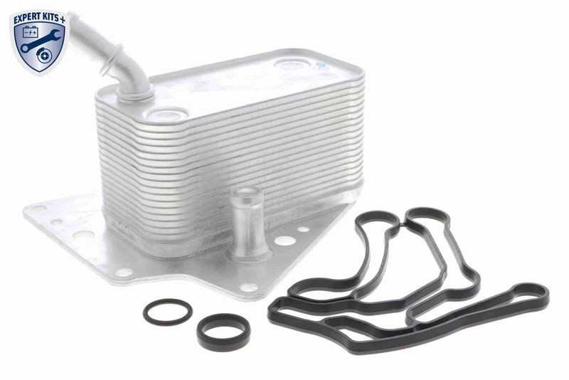 VEMO V40-60-2101 Oil Cooler, engine oil