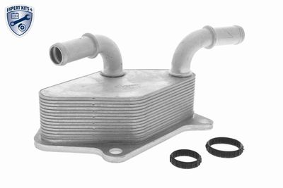 Oil Cooler, engine oil VEMO V40-60-2104