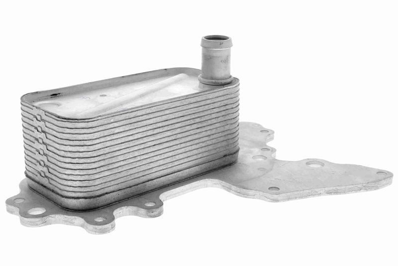 VEMO V40-60-2119 Oil Cooler, engine oil