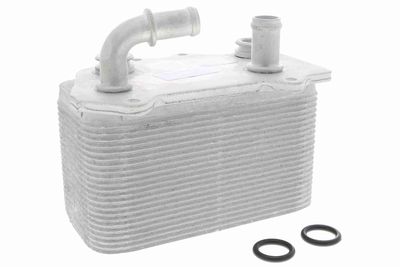 Oil Cooler, engine oil VEMO V45-60-0007