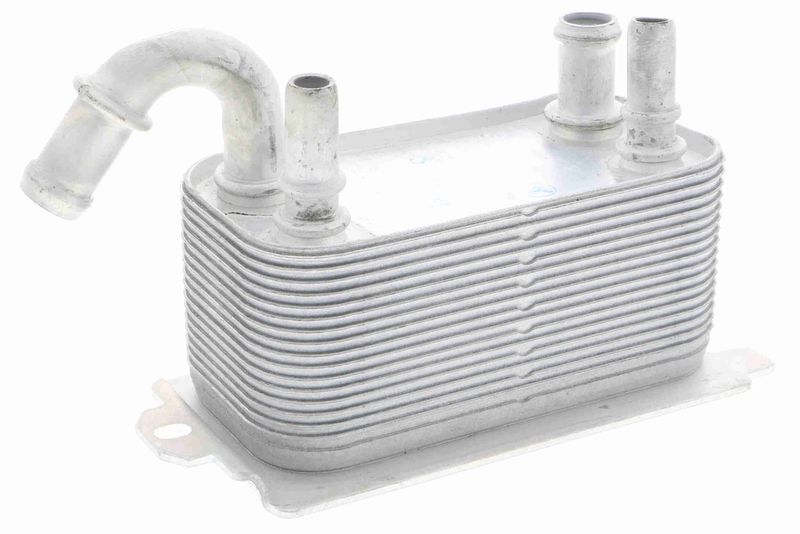 VEMO V95-60-0005 Oil Cooler, engine oil