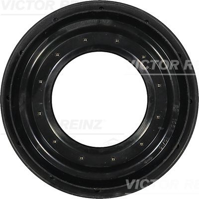 Shaft Seal, differential VICTOR REINZ 81-31377-00